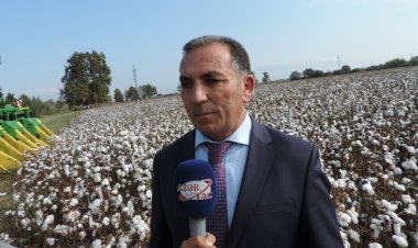 Nazir İmran Cümşüdovu işdən çıxardı