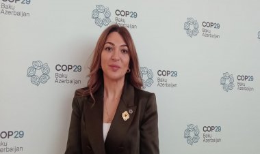 3 minə yaxın jurnalist COP29-da qeydiyyatdan keçib