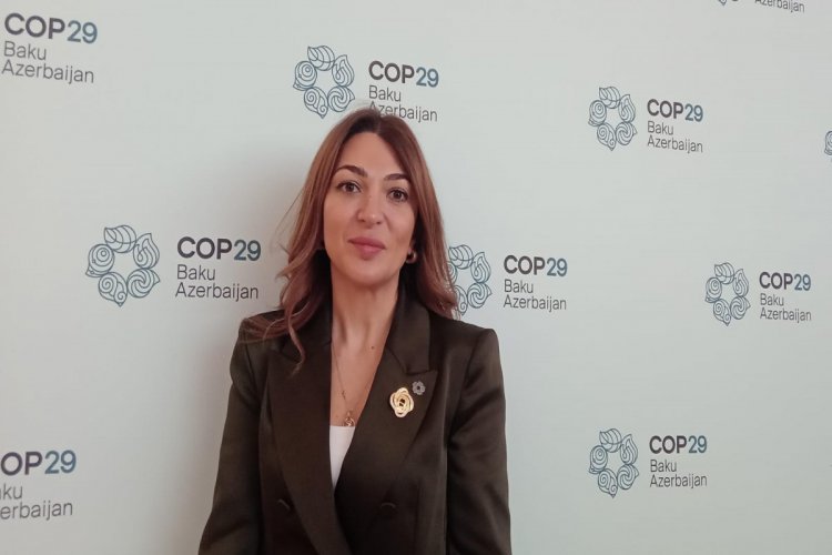 3 minə yaxın jurnalist COP29-da qeydiyyatdan keçib