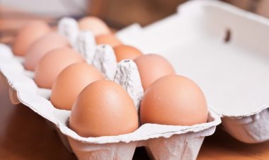 Azərbaycanda yumurta istehsalı 5%-dən çox artıb