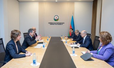 Energetika naziri TAP layihəsinin inkişafını müzakirə edib