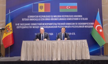 Azərbaycan və Moldova baytarlıq sahəsində