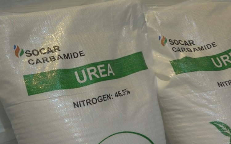 Azərbaycan karbamid istehsalın