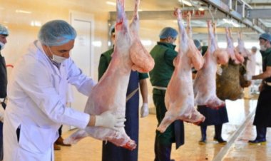 Qurbanlıq heyvanın kəsimi zamanı hansı tələblərə əməl edilməlidir?