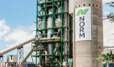 "Norm"un sementi sərt, maliyyəsi kövrəkdir