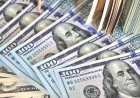 Mərkəzi Bankın valyuta ehtiyatlarının 90%-dən çoxu dollarladır