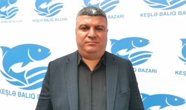 Balıq yarmarkasının nə kimi üstünlükləri var?