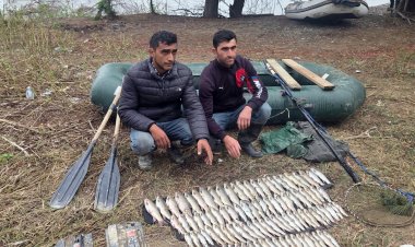 Mingəçevir su anbarında və Kür çayında qanunsuz balıq ovu aşkarlanıb