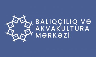 Akvakultura təsərrüfatlarının ilkin uçotu aparılır